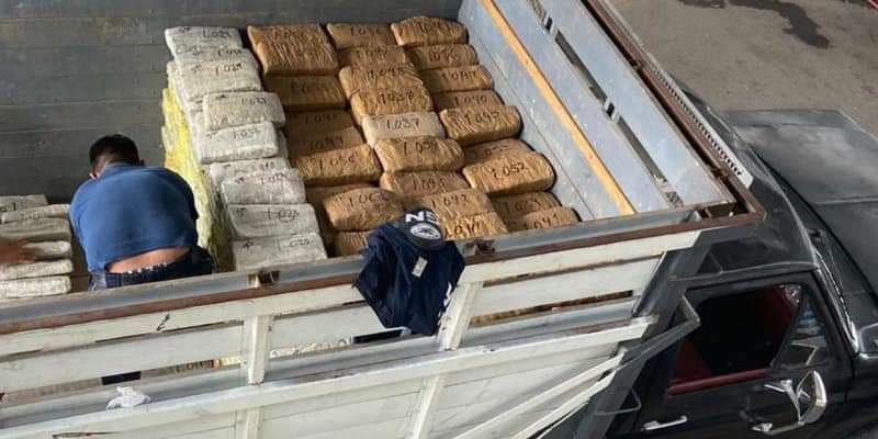 Entre cargamento de elotes, Guardia Nacional localiza una tonelada de mariguana en Guanajuato