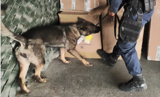 Se capacita la Unidad Canina K-9 de las Fuerzas de Seguridad Pública del Estado