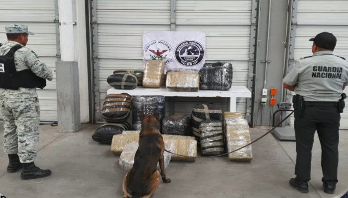 Más de 163 mil 200 dosis de droga fueron decomisadas con el operativo Guanajuato Seguro